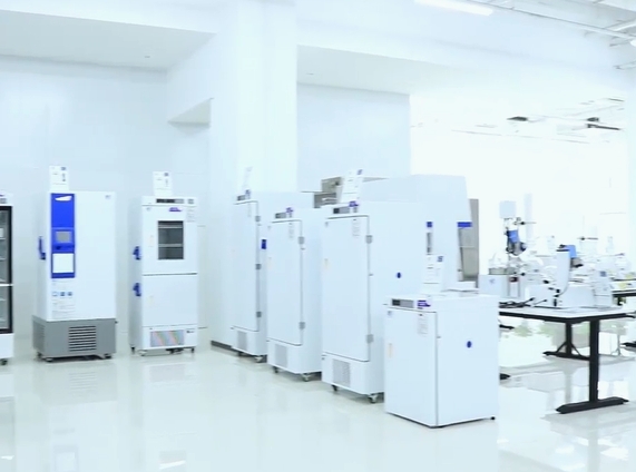 Medical Drying Cabinet 400L/600L Capacity