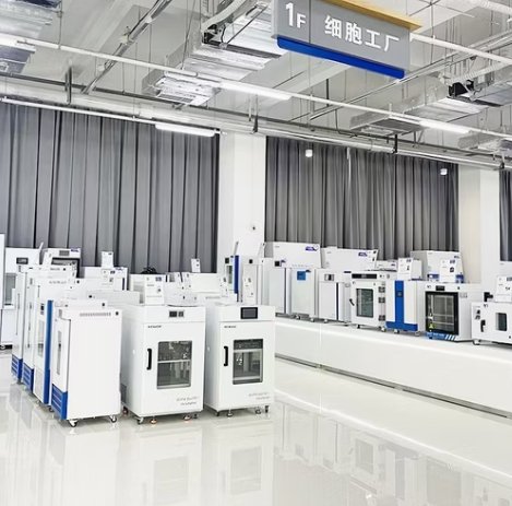 Medical Drying Cabinet 400L/600L Capacity